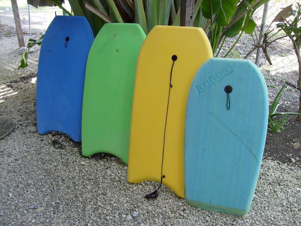 Yellow Bird Apartment Christ Church Luaran gambar